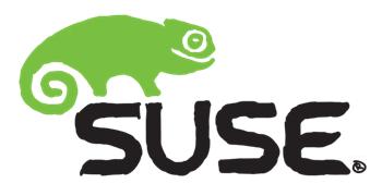 Abacus a Suse Linux společně na DWS2017 ve znamení CEPHu